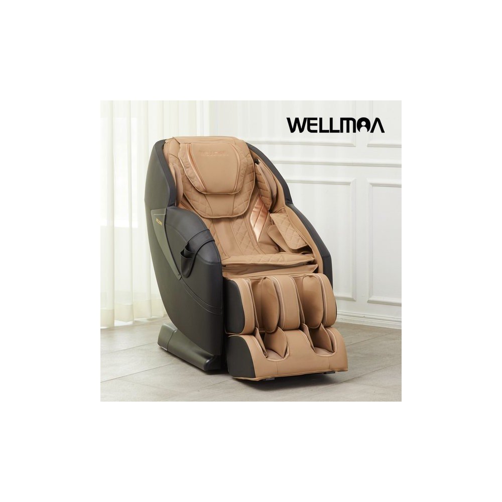 에비스 프리미엄 안마의자 HCW